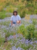 PICTURES/Deer Creek Trail/t_Sharon In Flowers.JPG